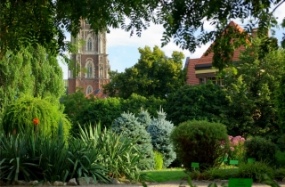 Widok z Ogrodu botanicznego