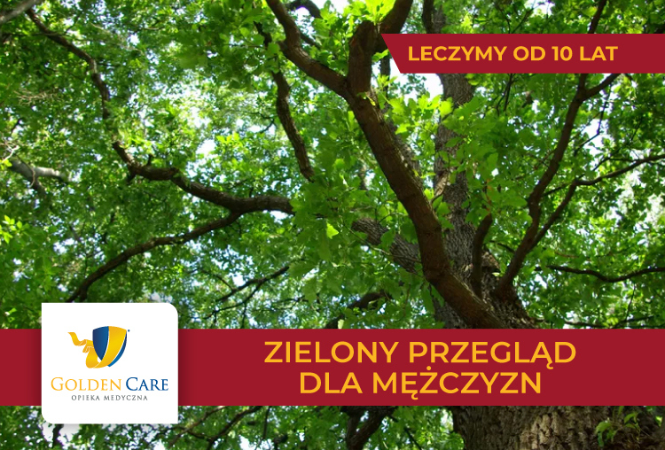 ZIELONY Przegląd dla MĘŻCZYZN